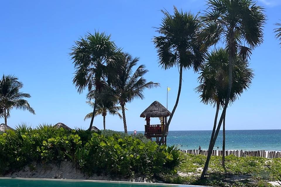 Resort pool on the beach