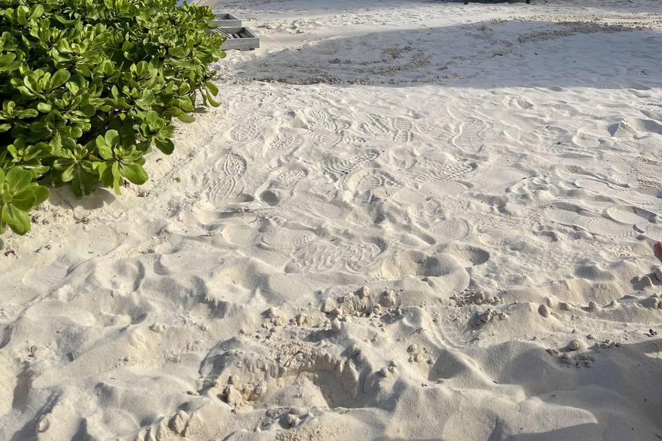 Sandy beaches