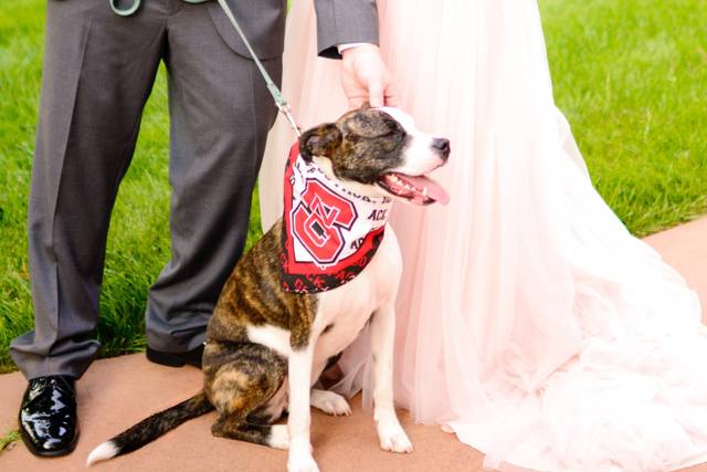 Bride and Groom