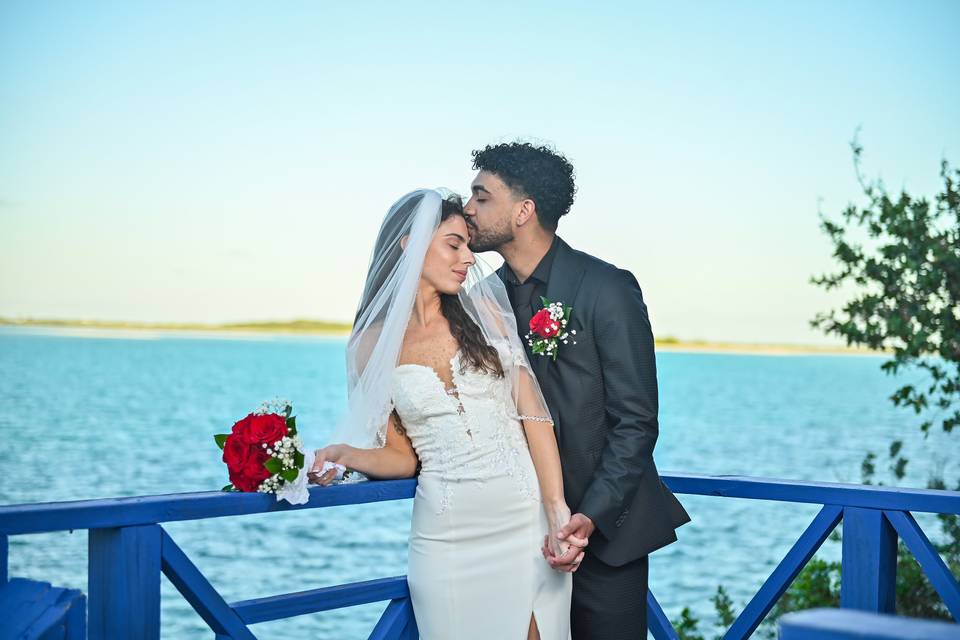 DSC_1503.jpg