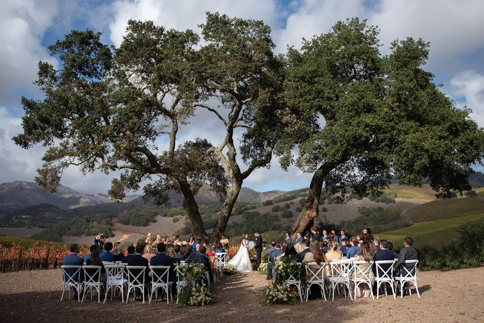 California Wedding