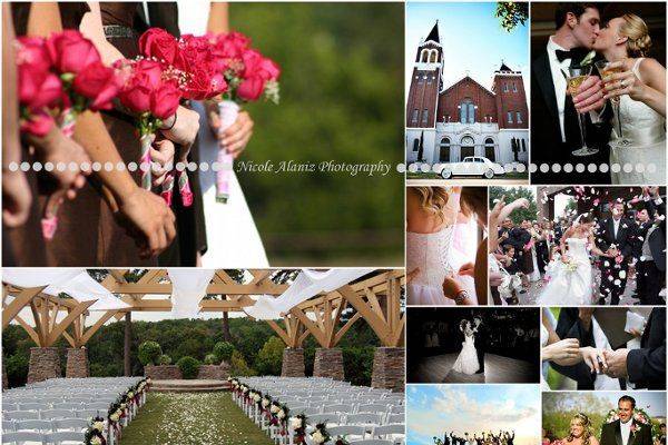 Nicole Alaniz Photography