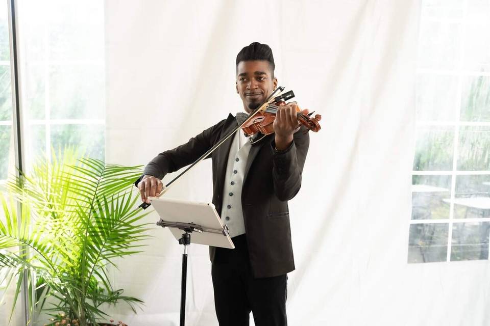 Jaguar Strings Wedding Solo