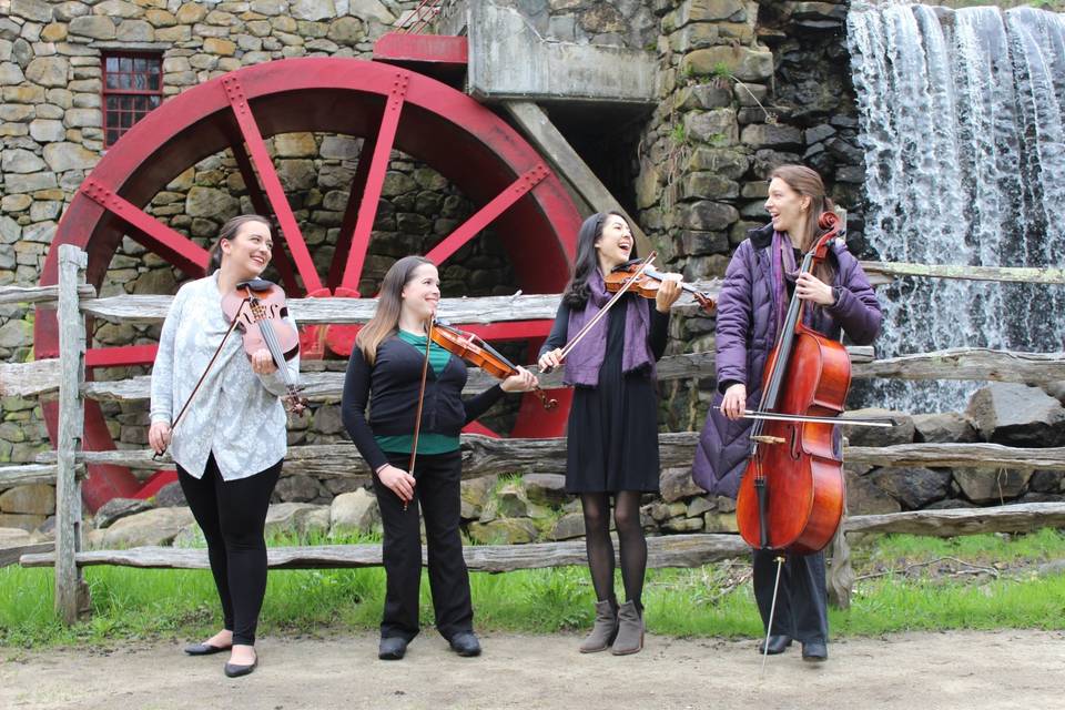 Blackstone Valley String Quartet & Ensembles