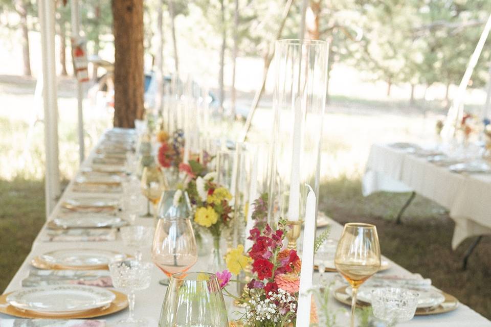 Evergreen backyard wedding