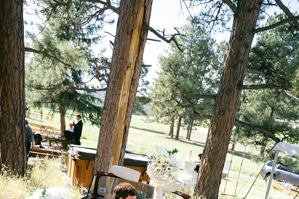 Evergreen backyard wedding