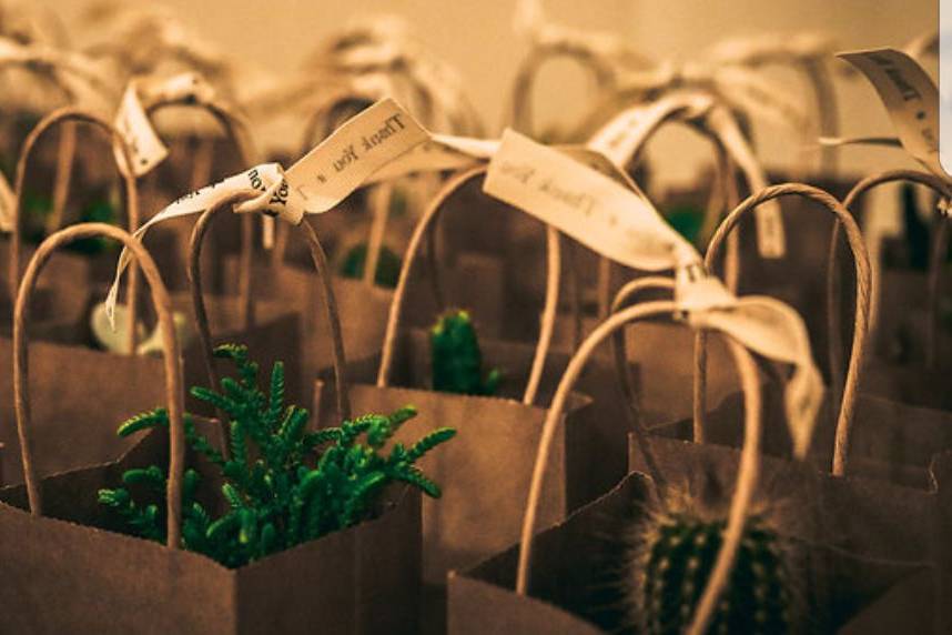 Plant favors with a rustic theme. Can be personalised.