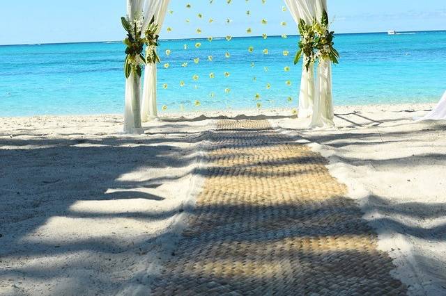 Stylish wedding arch