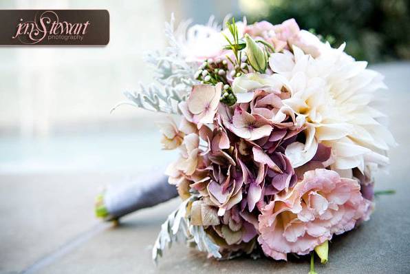 Jen Stewart Photography