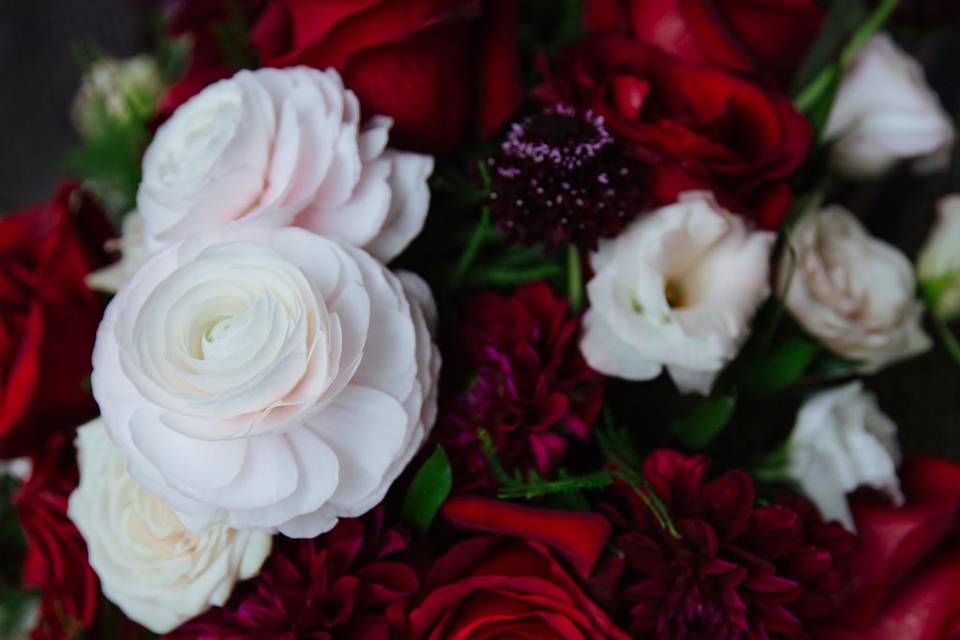 Red and white roses