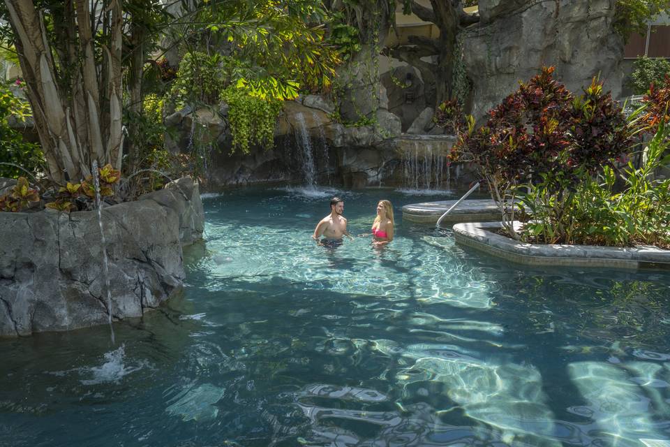 Tropical Biosphere Pool