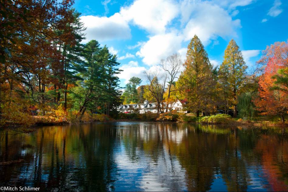 Bailey Arboretum