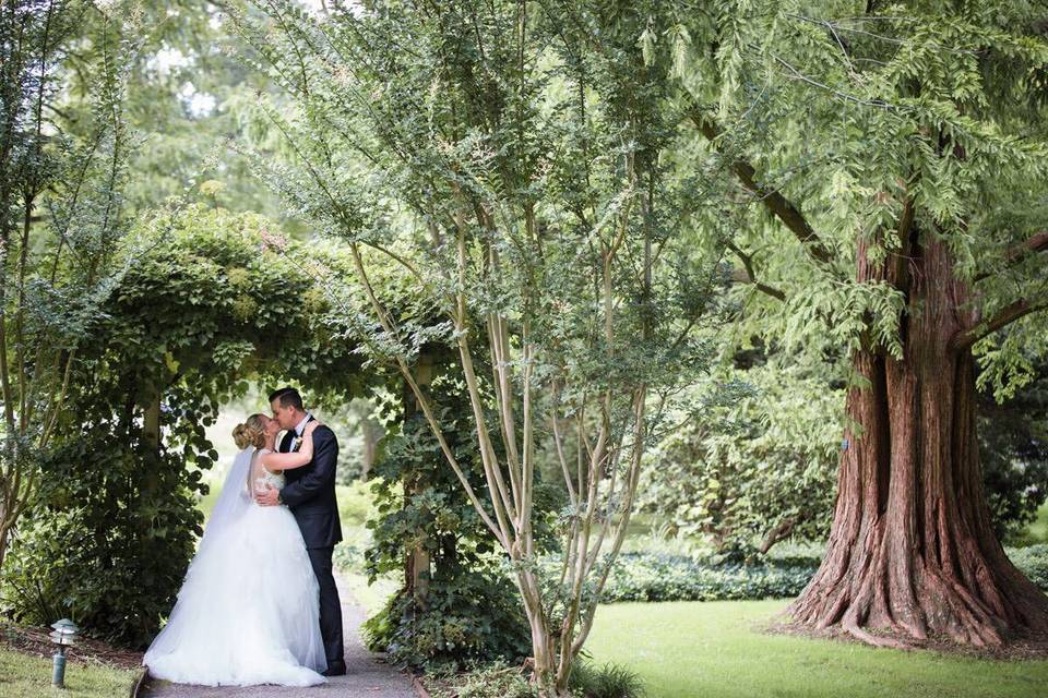 Lush Grounds for Photography