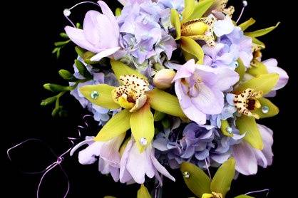 Blooms and Bouquets