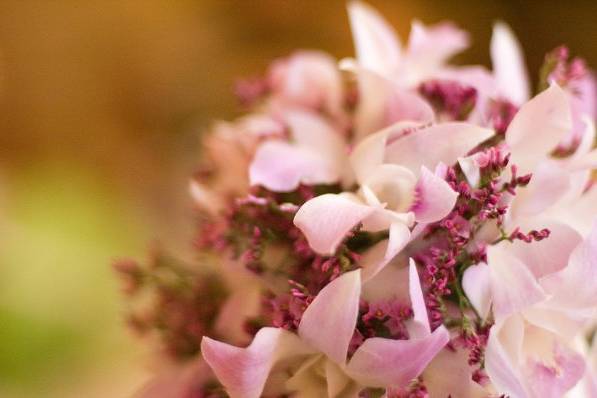 Blooms and Bouquets