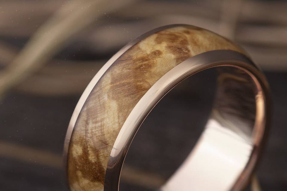 Black Ash Burl Wood Ring