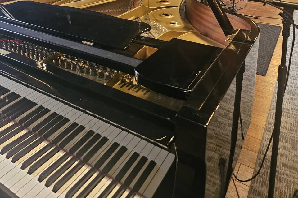 Susan Leslie (Music Cocktail Set Jazz)