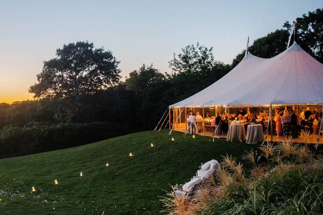 Wedding reception with overview