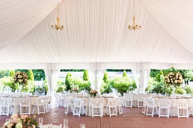 Draping and Lighting Included