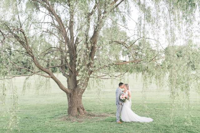 Willow Trees On-Site