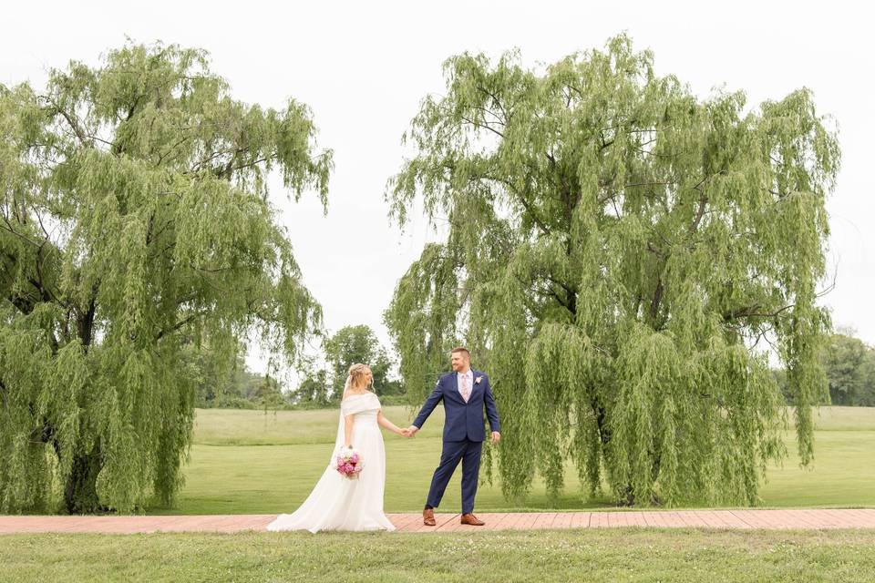 Willow Tree Photo Ops