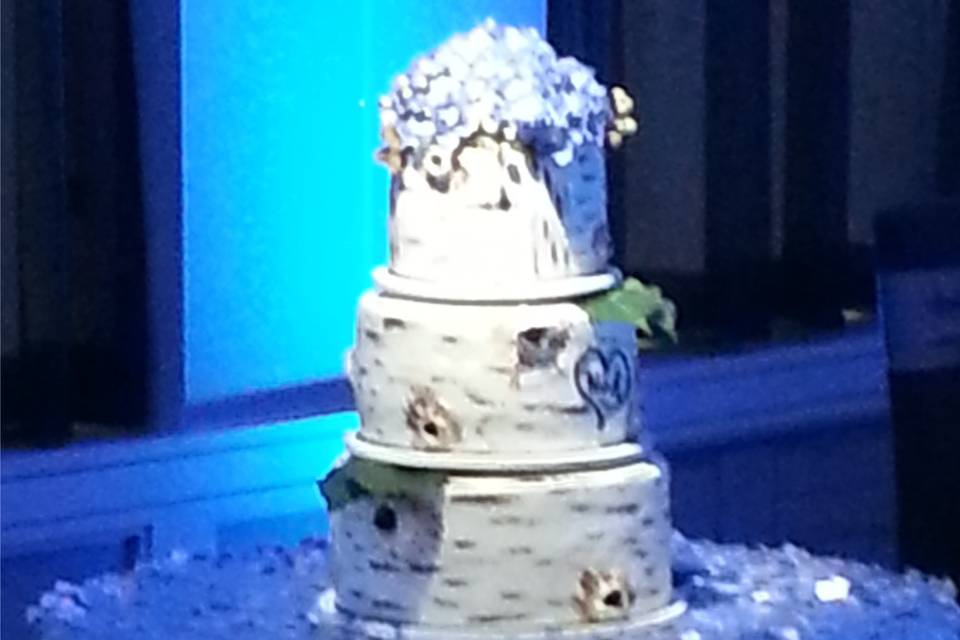 Pin Spotting of Wedding Cake