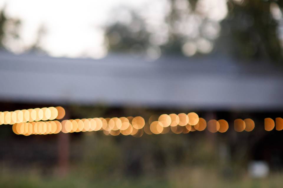Wedding Details
