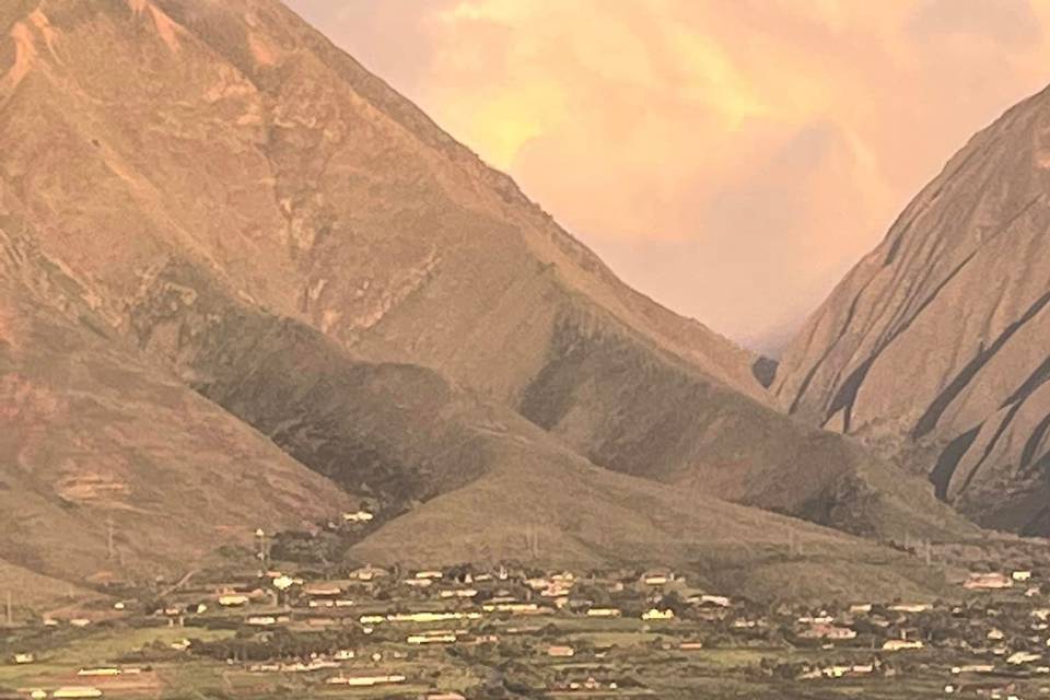 IMG_0084.jpeg