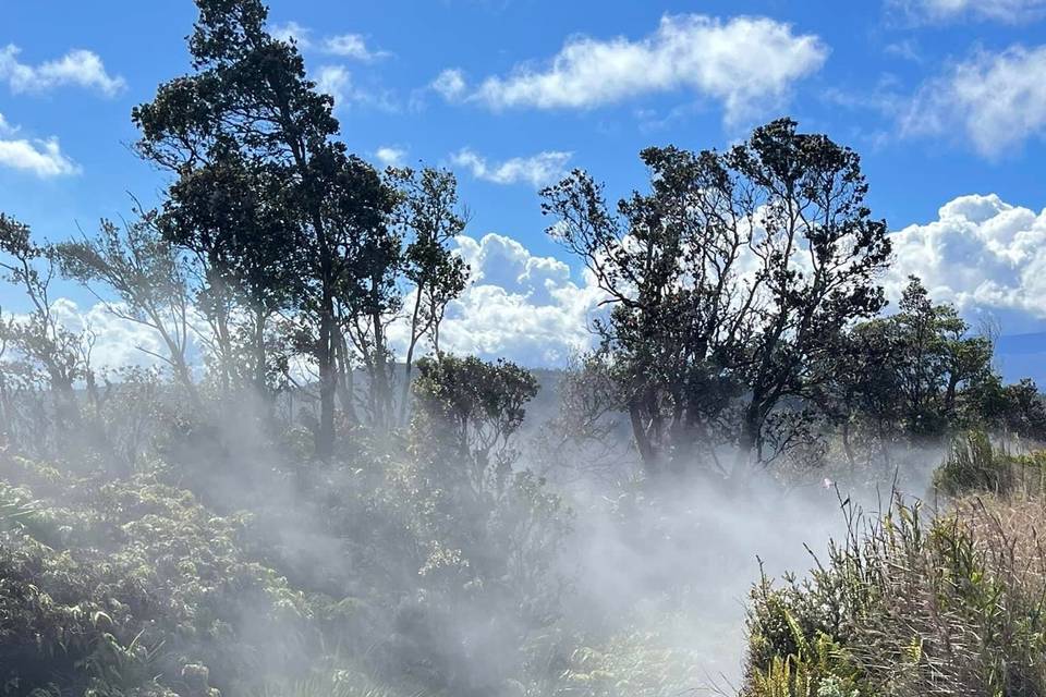 Volcano's National Park