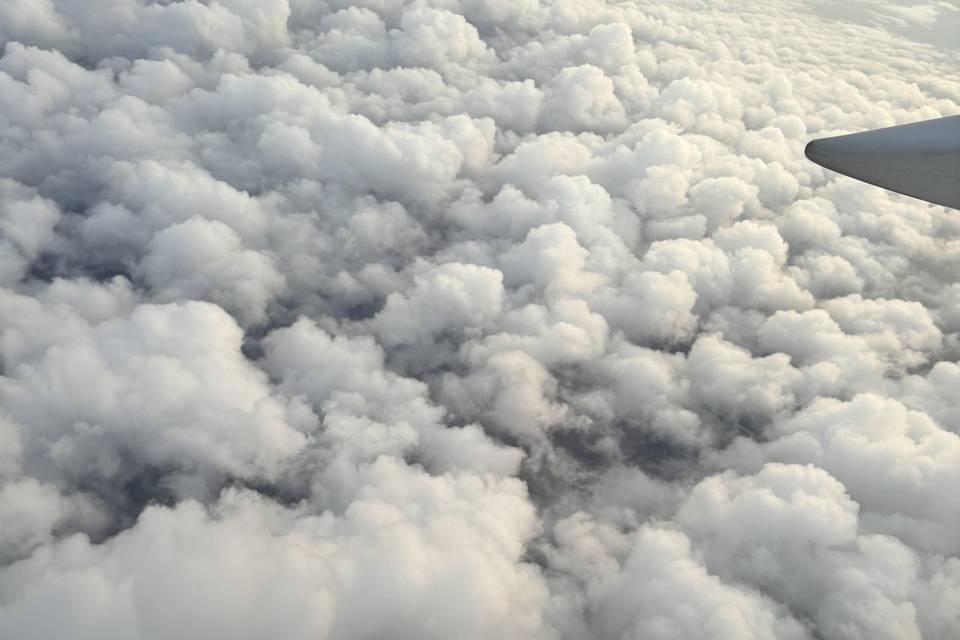 Above the clouds