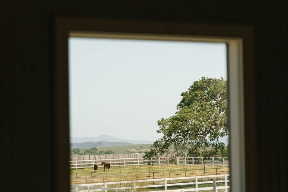 Ecomama Farms