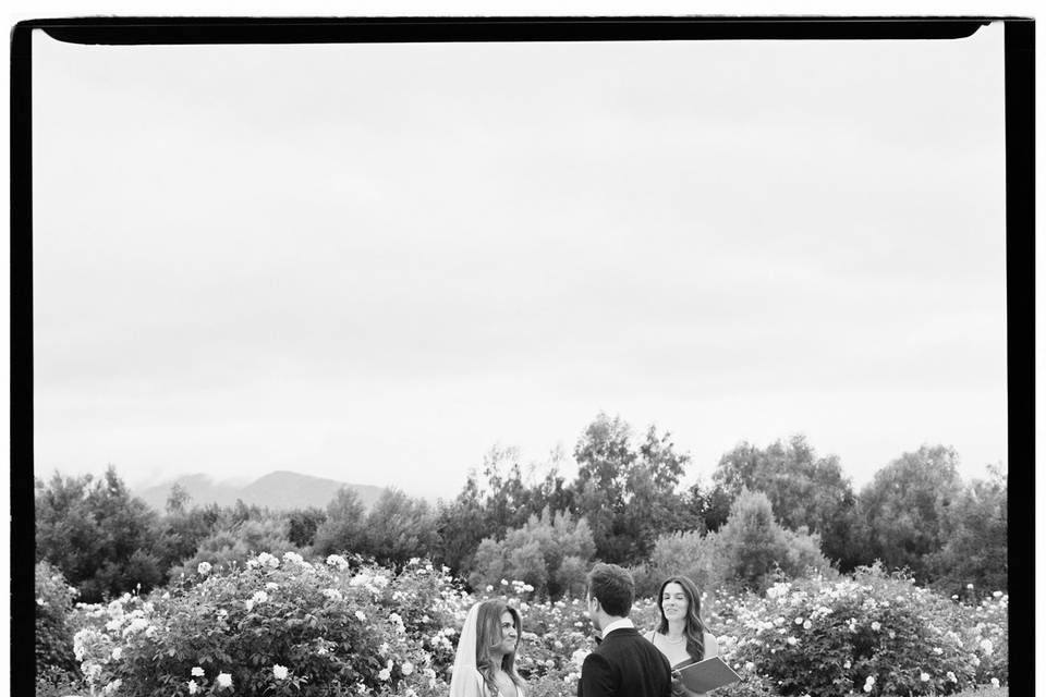 Ecomama Farms