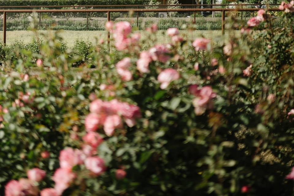 Ecomama Farms
