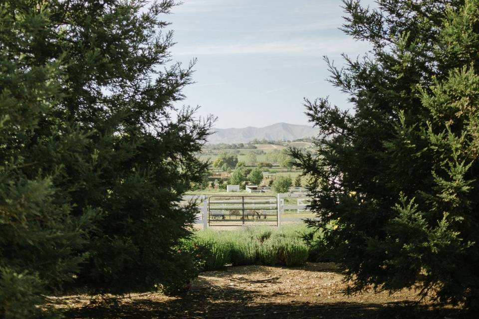 Ecomama Farms