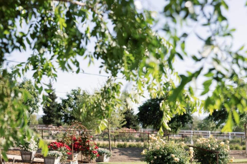 Ecomama Farms