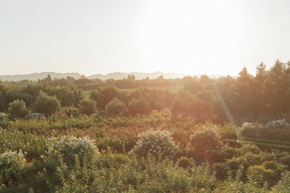 Ecomama Farms