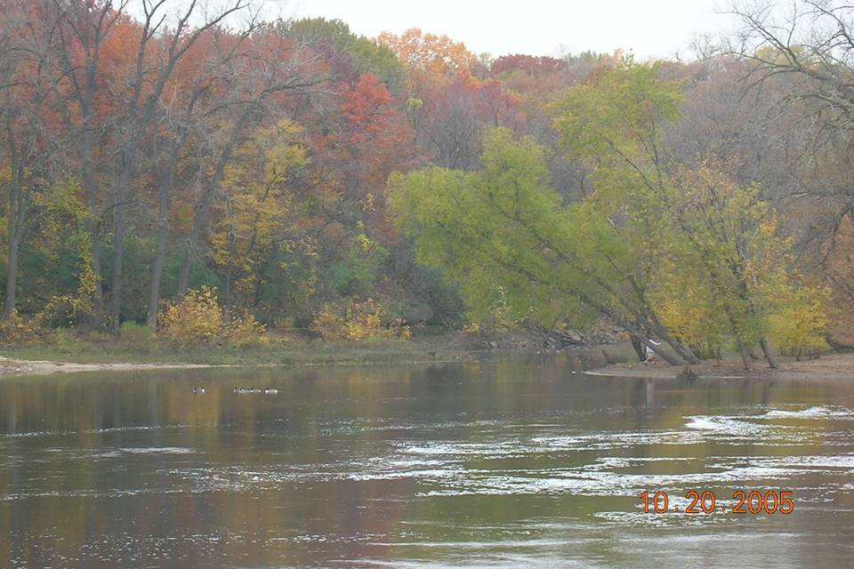 Magnolia Blossom Cruises