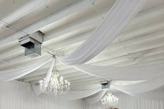 The Butterfly Room
