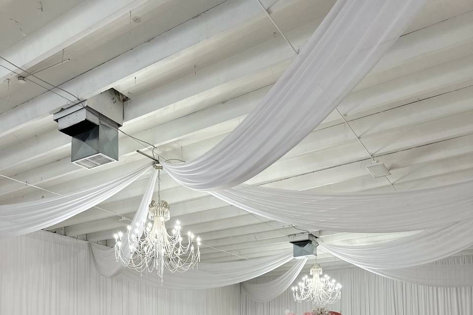 The Butterfly Room