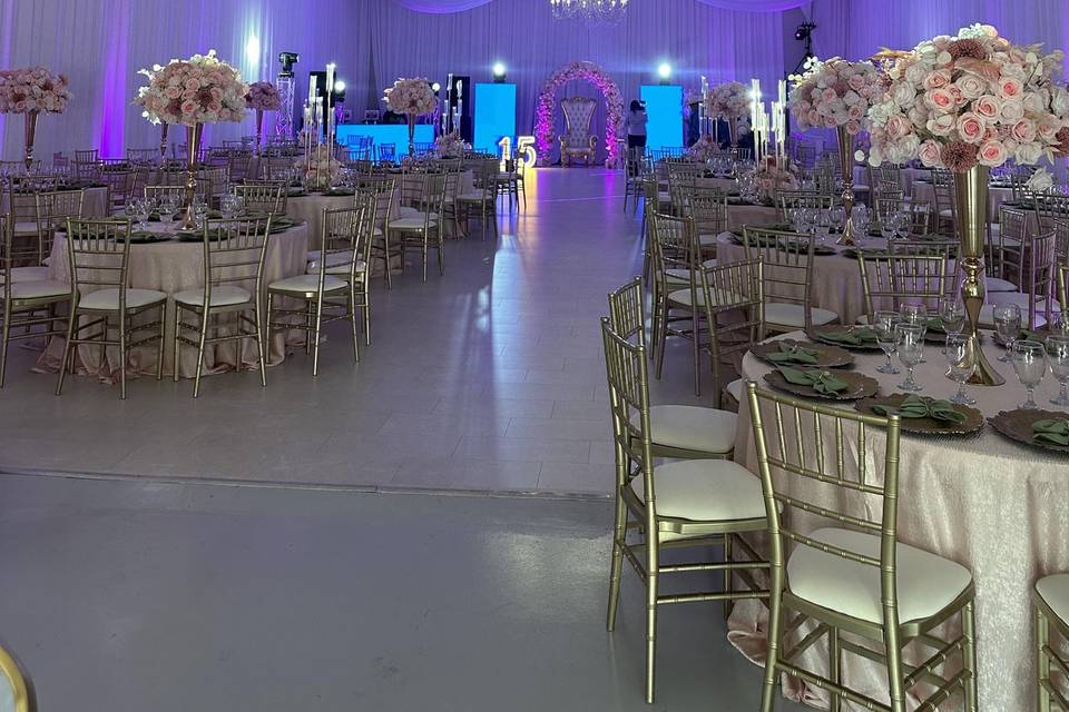The Butterfly Room