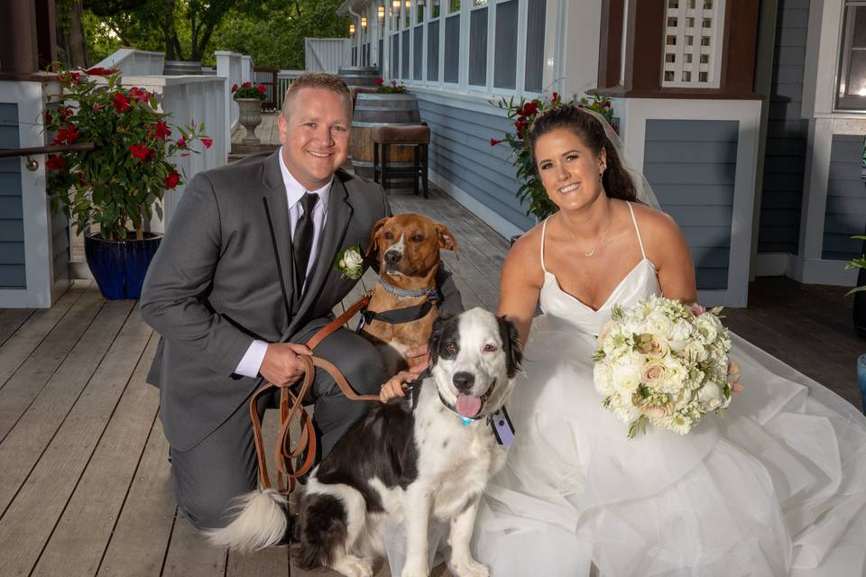 Couple and pups