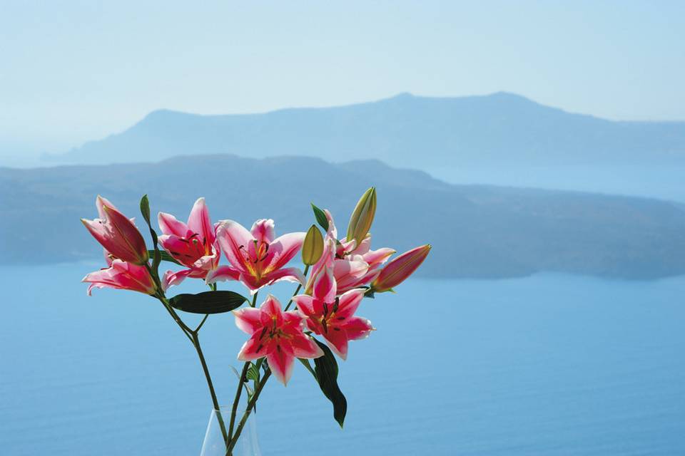 Santorini Zen Spa View