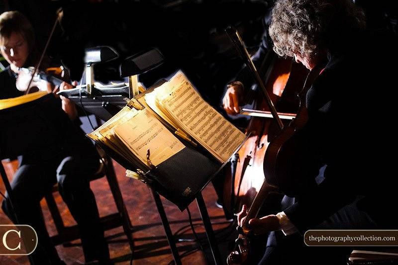 Silver Strings Trio at the Country Music Hall of Fame