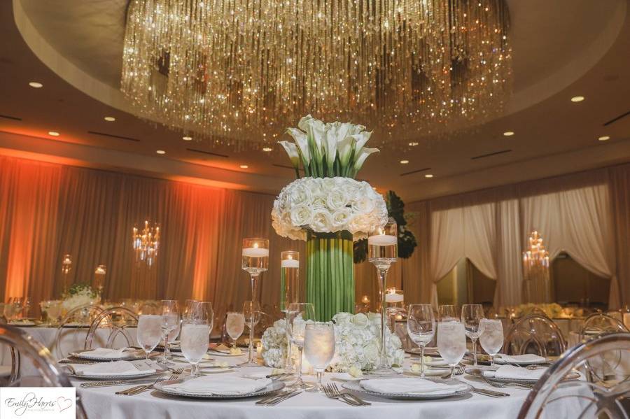 The Ritz Carlton Fort Lauderdale Hotel Weddings Fort Lauderdale   Eharrisphoto 2726 51 180366 168727720811049 