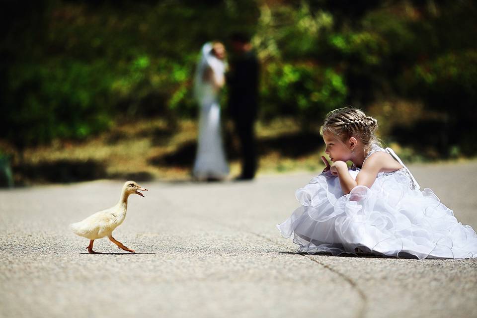 Stunning Photography