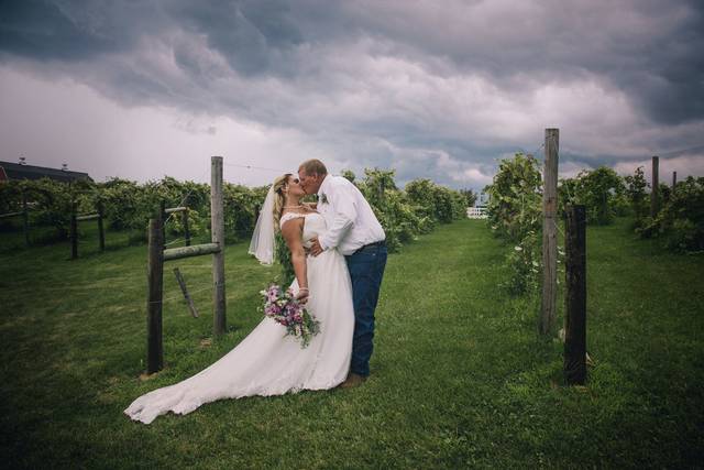 Deanna Schuller Photography & Creative
