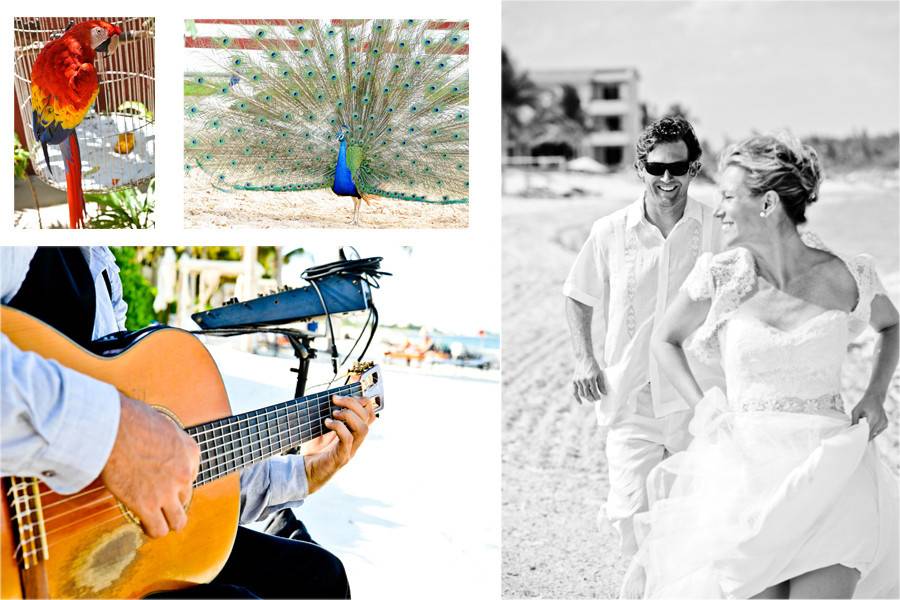 JENNIFER ALYSE WEDDINGS