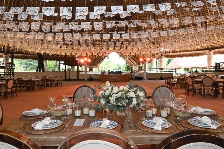 Timeless reception