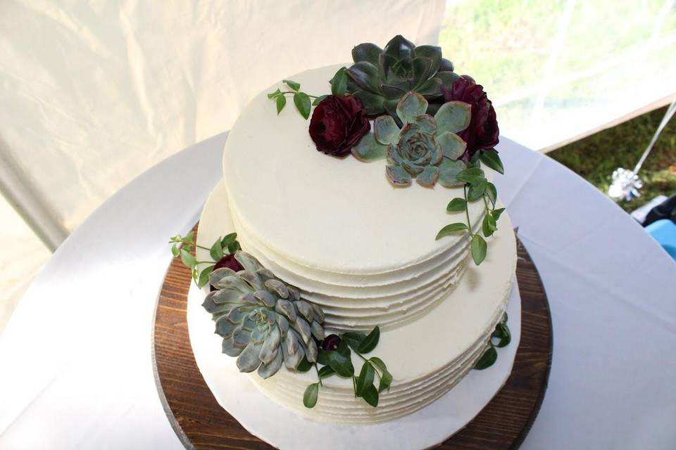 Vegan cake with succulents
