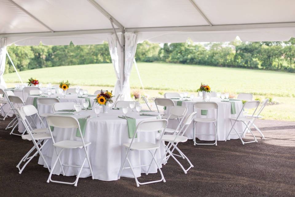 Tent with sides open